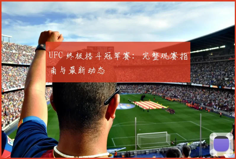 UFC 终极格斗冠军赛:完整观赛指南与最新动态