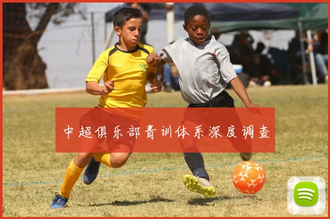 中超俱乐部青训体系深度调查