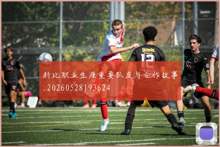 科比职业生涯重要队友与合作故事_20260528193624
