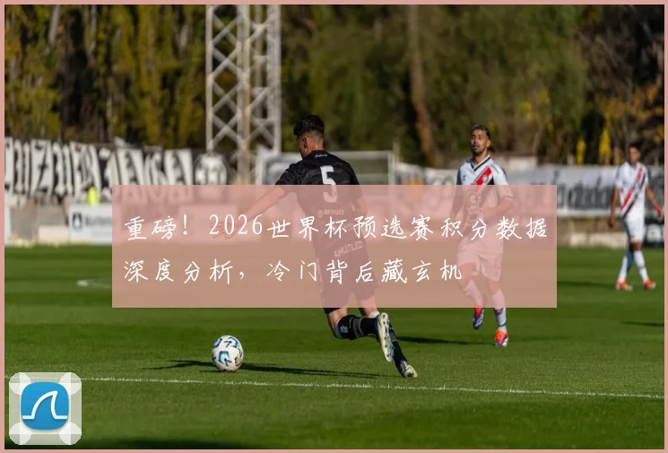 重磅！2026世界杯预选赛积分数据深度分析，冷门背后藏玄机